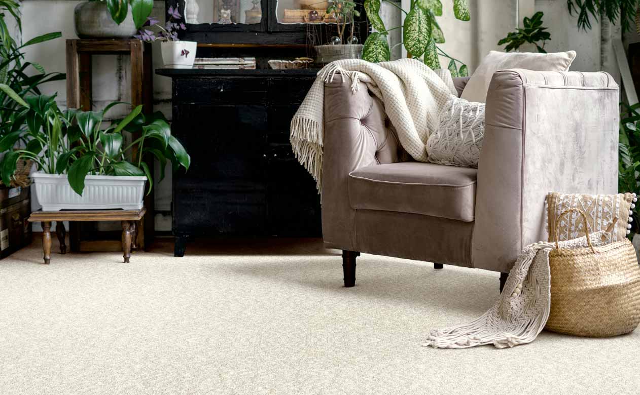 Living room with cream colored carpet with a velvet accent chair